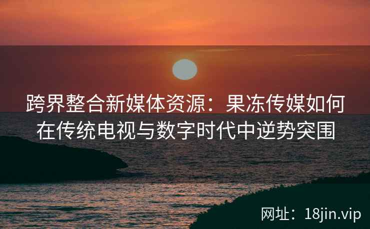 跨界整合新媒体资源：果冻传媒如何在传统电视与数字时代中逆势突围
