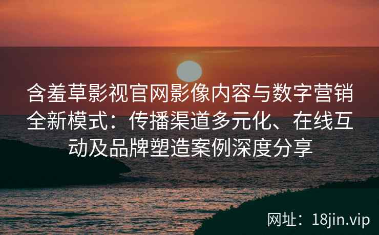 含羞草影视官网影像内容与数字营销全新模式：传播渠道多元化、在线互动及品牌塑造案例深度分享