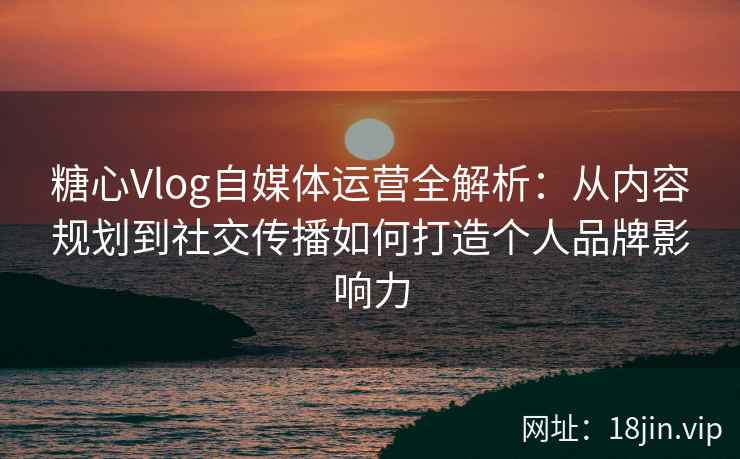 糖心Vlog自媒体运营全解析：从内容规划到社交传播如何打造个人品牌影响力